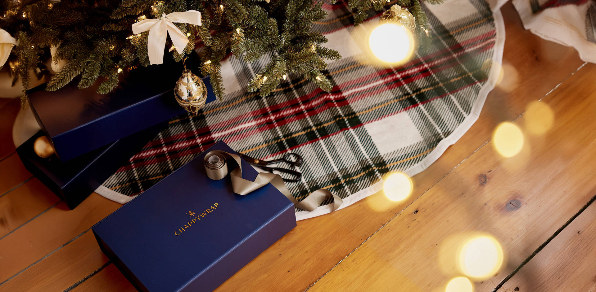Underneath the Tree