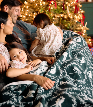 12 Days of Christmas Blanket
