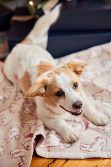 Santa Puppies Mini Blanket6