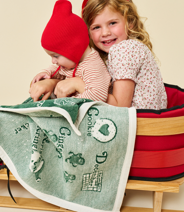 ABC's of Christmas Mini Blanket3