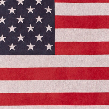 American Flag Blanket