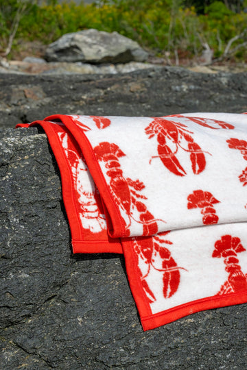 Red and white blanket with lobster pattern draped over gray rocks near water and vegetation.5