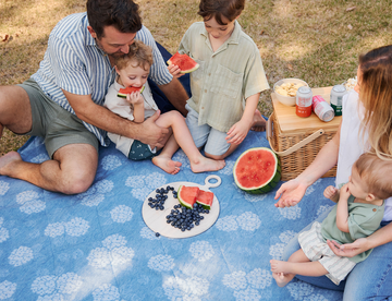 Picnics