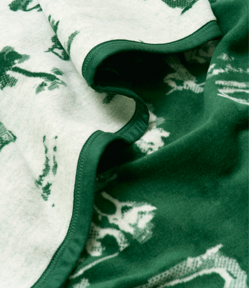 The Kyger Blanket4
