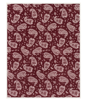 Palmer Paisley Blanket