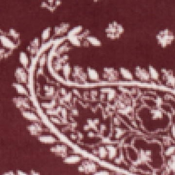 Palmer Paisley Blanket