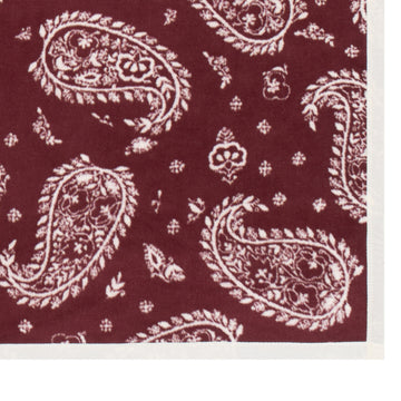Palmer Paisley Blanket