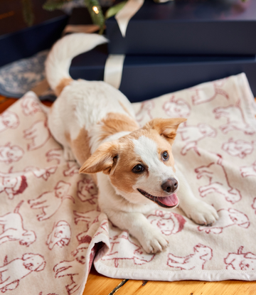 Santa Puppies Mini Blanket4