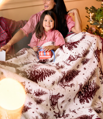Santa Toile Blanket6