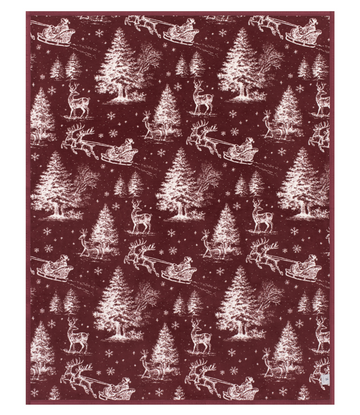 Santa Toile Blanket8