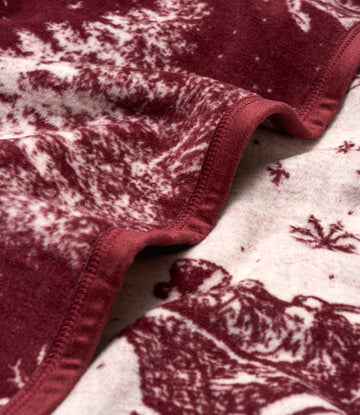 Santa Toile Blanket6