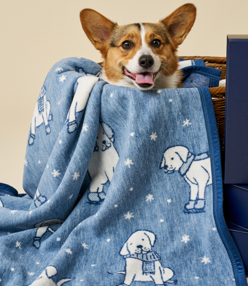 Winter Puppies Midi Blanket3