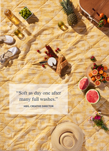 The Daytripper Outdoor Blanket8